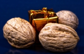 Nut-sized gold-wrapped package among walnuts