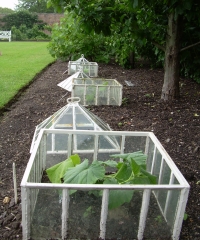 Glasshouse-style indivdual frames with lids off