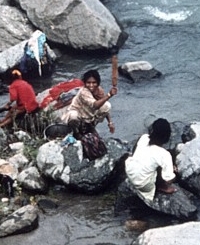 Woman using washing bat against rocks in river